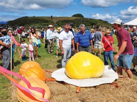 Nantucket Island Fair | Nantucket | MA