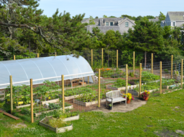 Nantucket Pollinator Garden