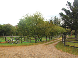 Retreat for Artistic Collaboration | Nantucket