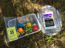Geocaching on Nantucket