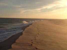 Nantucket Beach