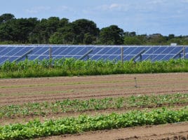 Bartlett's Farm | Nantucket, MA