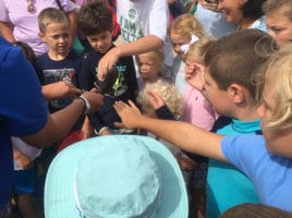 Maria Mitchell Association | Nantucket, MA