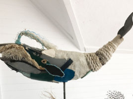 Maria Mitchell Association | Nantucket, MA