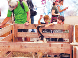 Nantucket Island Fair | Nantucket, MA