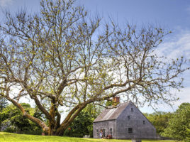 First Place, Tom Griswold, Oldest House in Spring