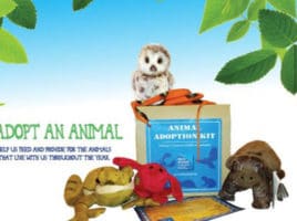 Adopt an Animal | Maria Mitchell Association of Nantucket