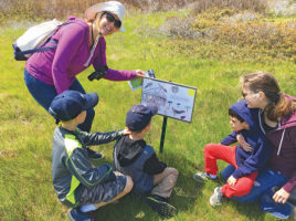 Story Walk | Nantucket, MA