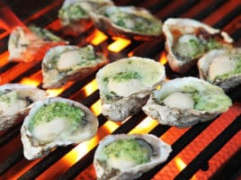 Oysters | Nantucket, MA