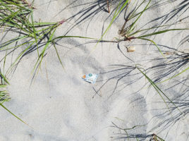 Beach Money | Nantucket, MA