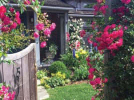 Nantucket Garden Club | Nantucket, MA