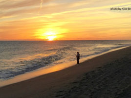 Fisherman | Nantucket, MA