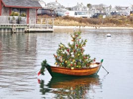 Boat Tree | Nantucket, MA