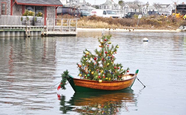 Boat Tree | Nantucket, MA
