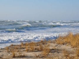 winter dunes | Nantucket, MA