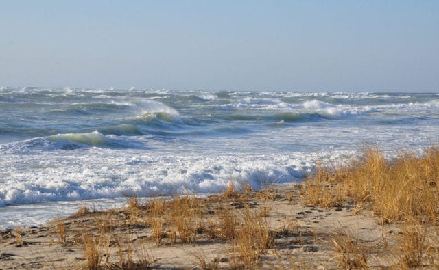 winter dunes | Nantucket, MA