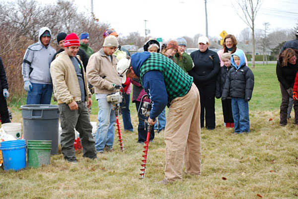 Planting Daffodils on Nantucket