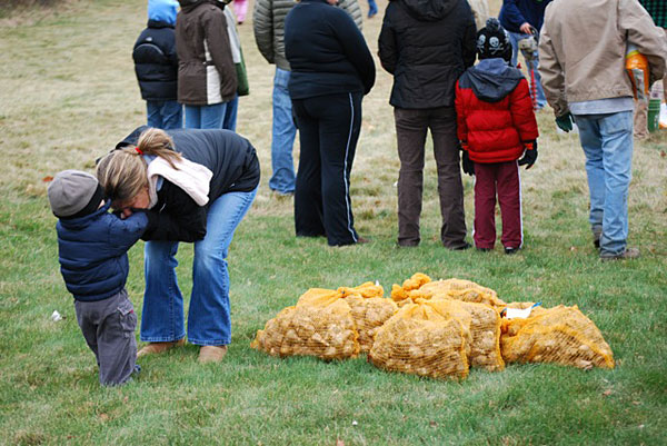 Planting Daffodils on Nantucket