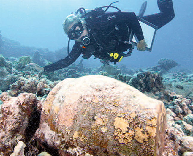 Lost on a Reef