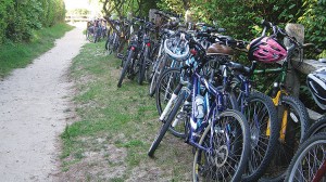 Bike Paths on Nantucket