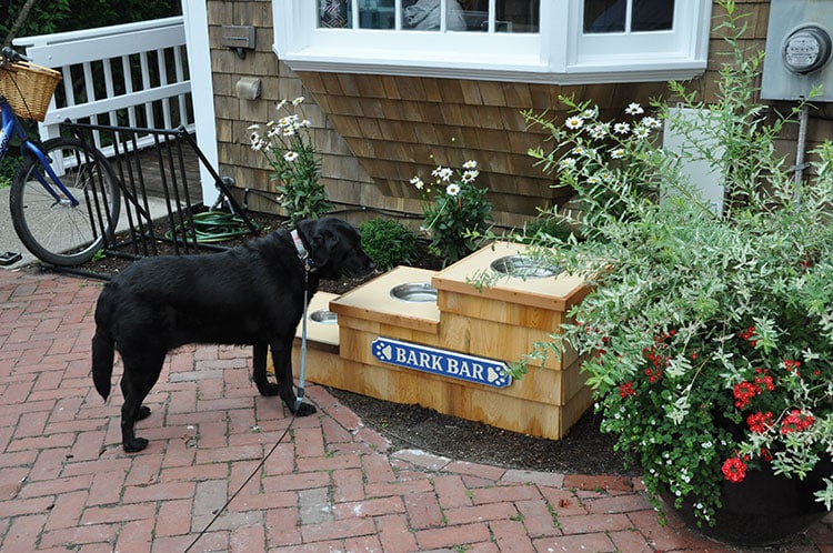 Handlebar Cafe | Nantucket | MA