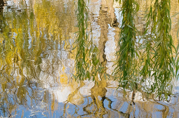 Duck Pond by Lauri Robertson Photography | Nantucket | MA