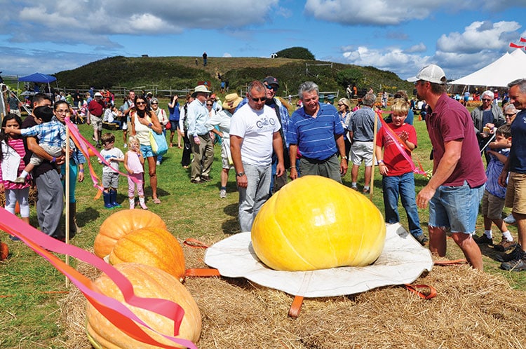 Nantucket Island Fair | Nantucket | MA