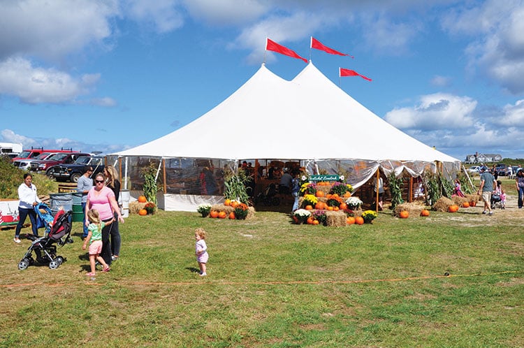 Nantucket Island Fair | Nantucket | MA