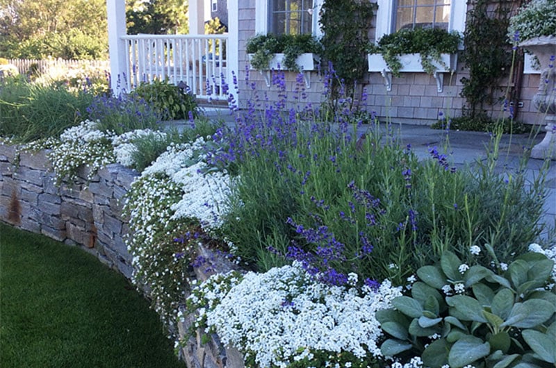 Garden Conservancy Tour | Nantucket, MA