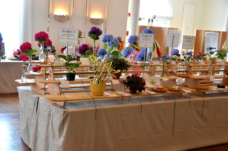 Nantucket Flower Show | Nantucket Garden Club