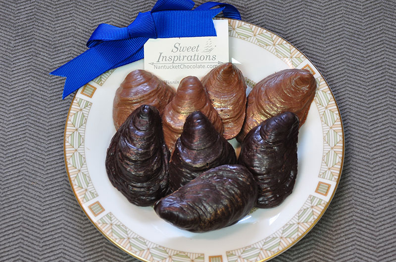 Chocolate Oysters | Nantucket Chocolate Company