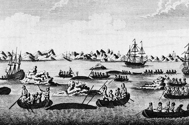 How Nantucket Came to Be the Whaling Capital of the World, History