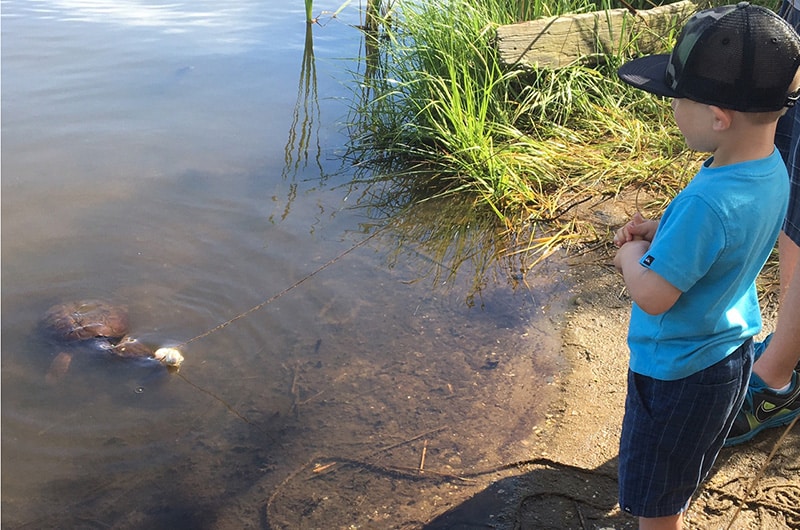 Family Excursions | Nantucket, MA