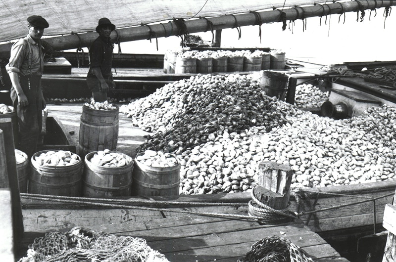 Quahog Industry | Nantucket, MA