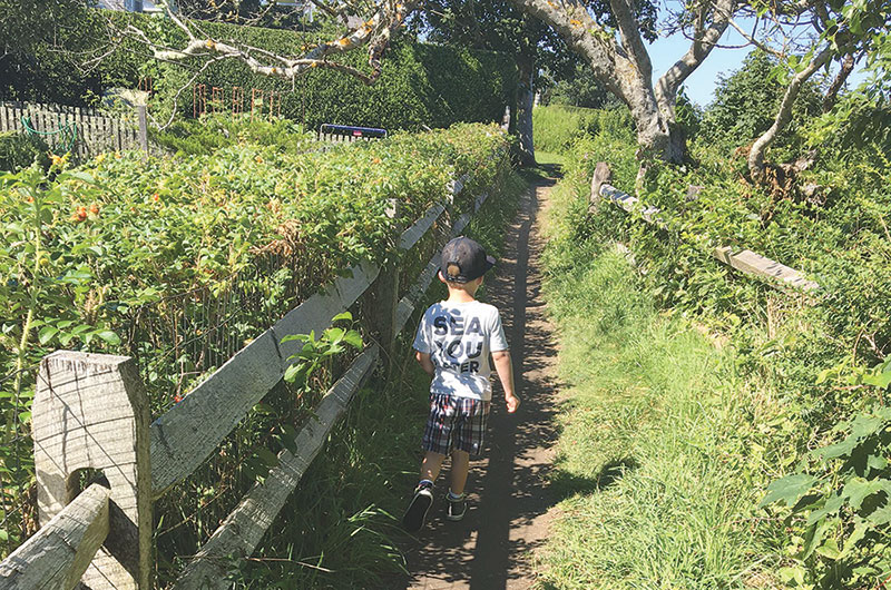 Sconset Bluff | Nantucket