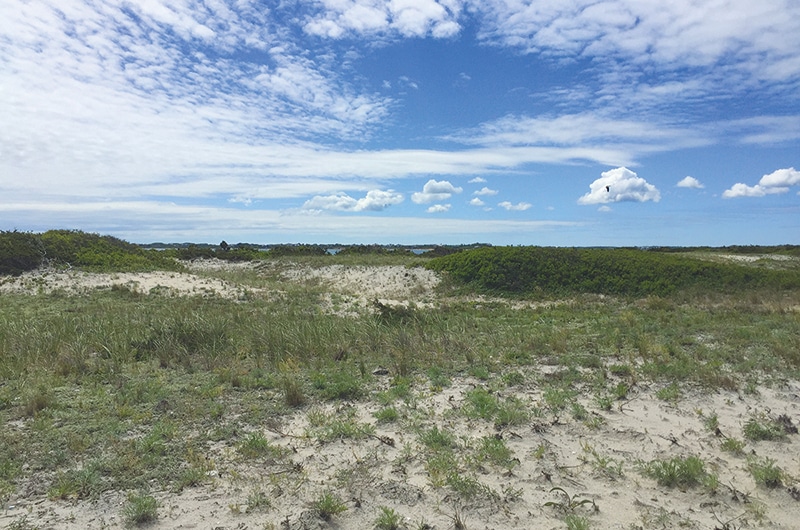 Coskata-Coatue Wildlife Refuge | Nantucket, MA