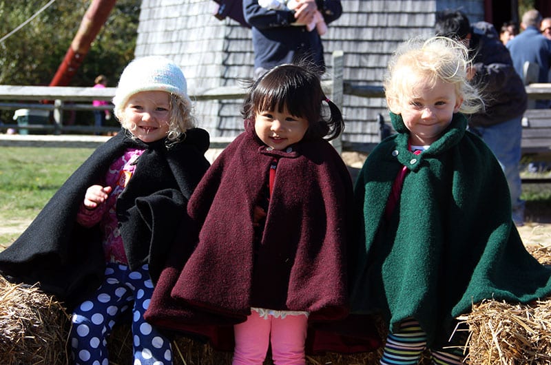 Nantucket Harvest Fair