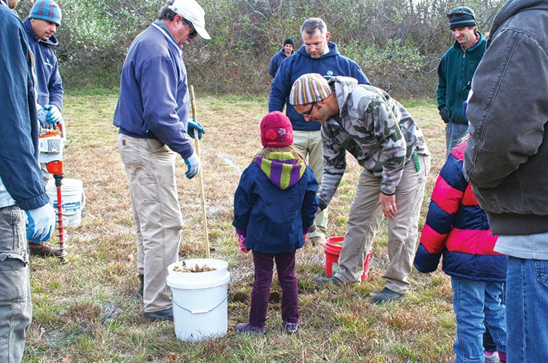 Planting daffodils for the Nantucket Daffodil Festival