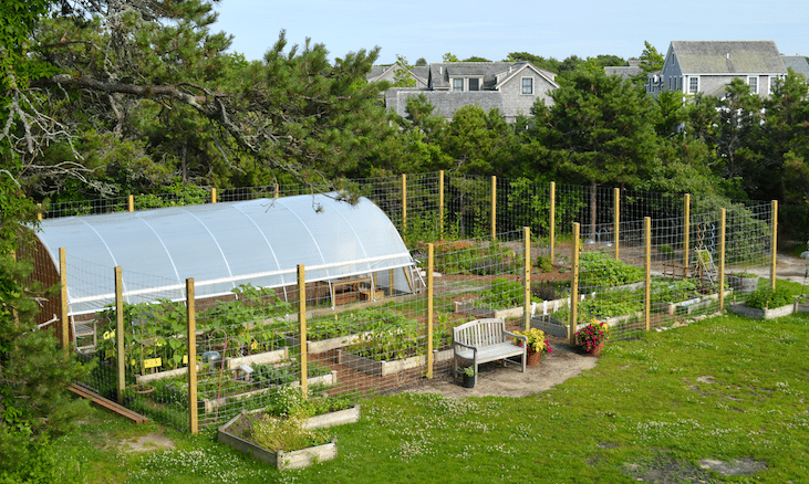Nantucket Pollinator Garden