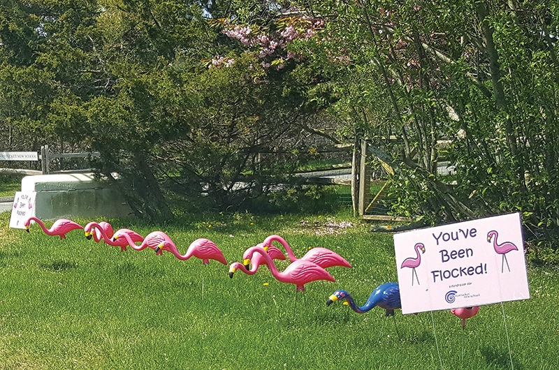 Nantucket New School, Flocked