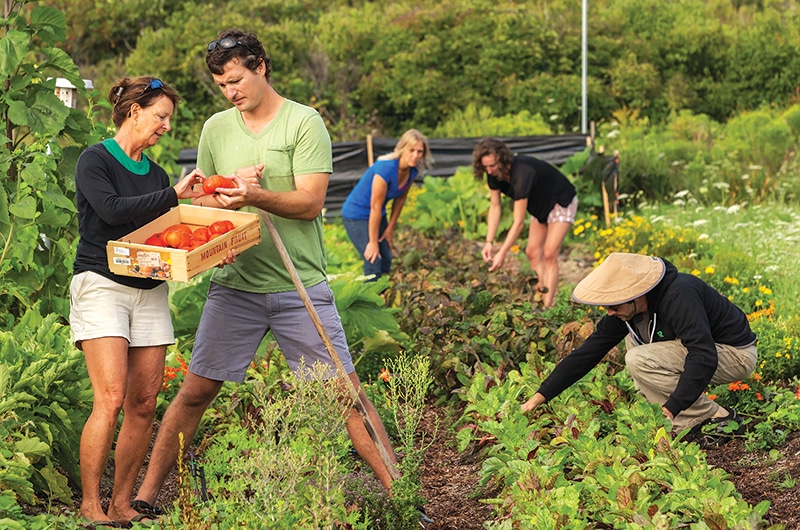 Sustainable Nantucket Community Farm