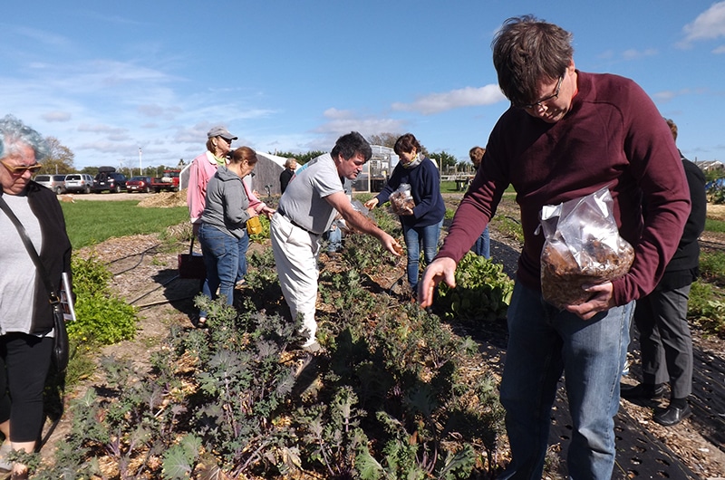 Sustainable Nantucket Community Farm