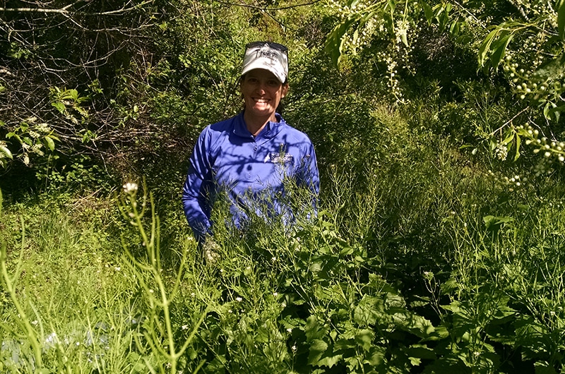 Garlic Mustard, Dr. Sarah Bois