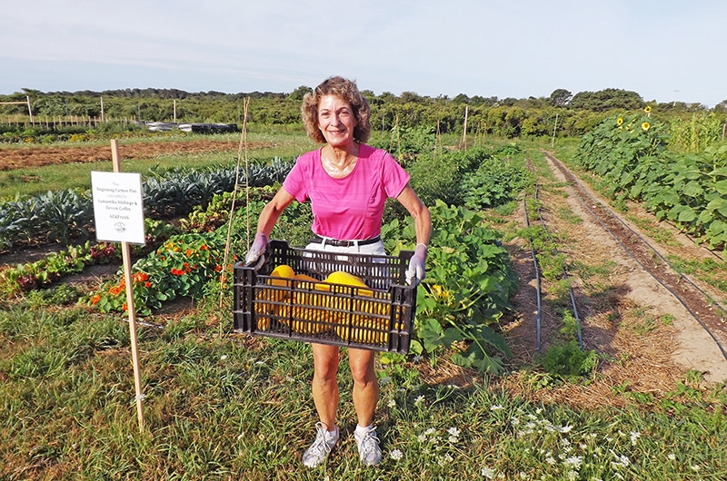 Sustainable Nantucket Community Farm