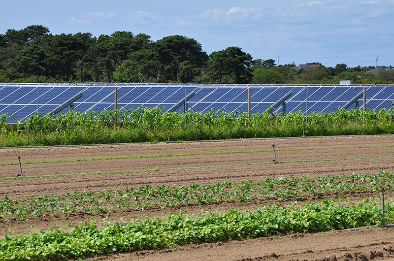 Bartlett's Farm Solar Power | Nantucket, MA