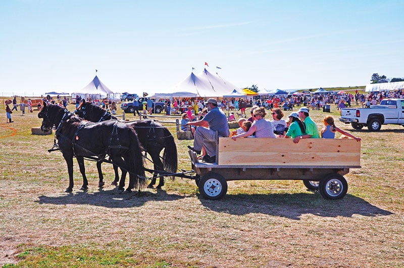 Nantucket Island Fair | Nantucket, MA