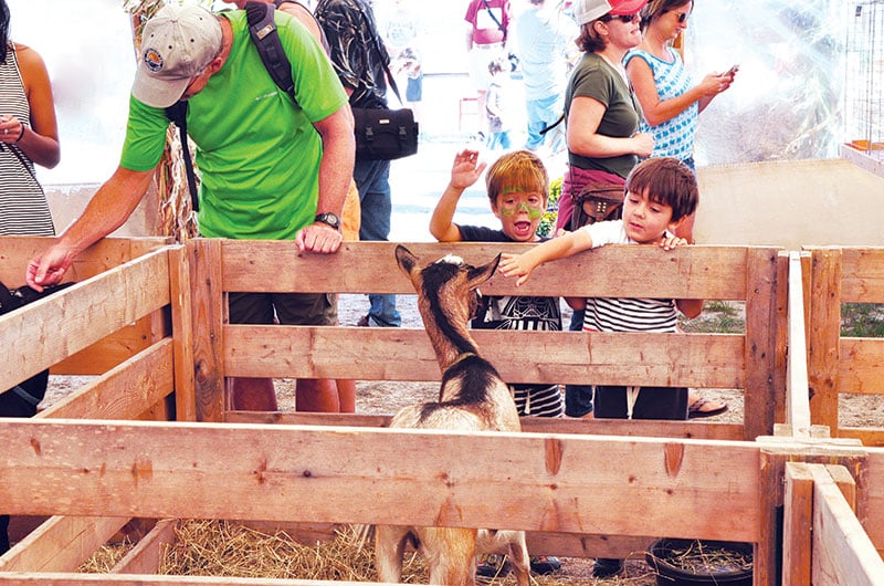 Nantucket Island Fair | Nantucket, MA