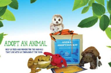 Adopt an Animal | Maria Mitchell Association of Nantucket