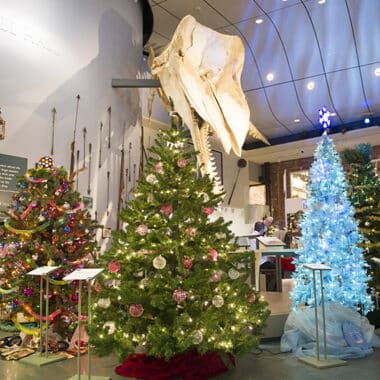 Festival of Trees | Nantucket Whaling Museum