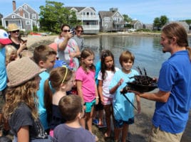 Release Day | Nantucket, MA